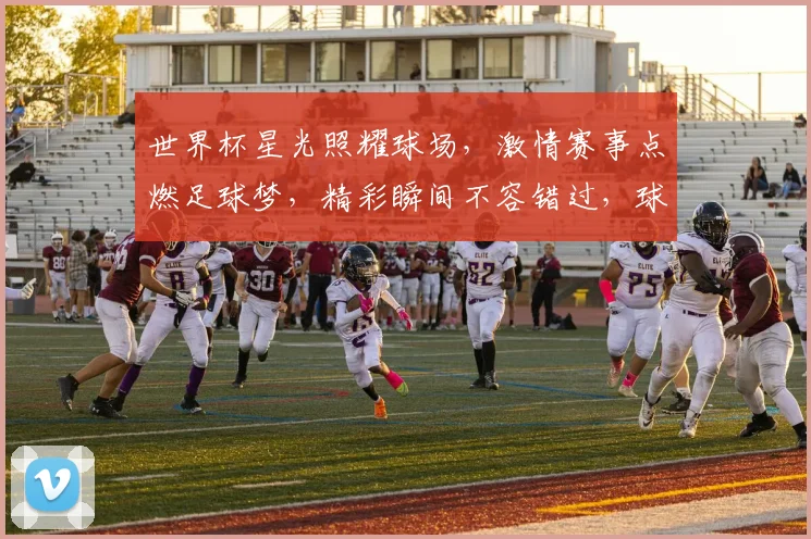 世界杯星光照耀球场，激情赛事点燃足球梦，精彩瞬间不容错过，球迷狂欢