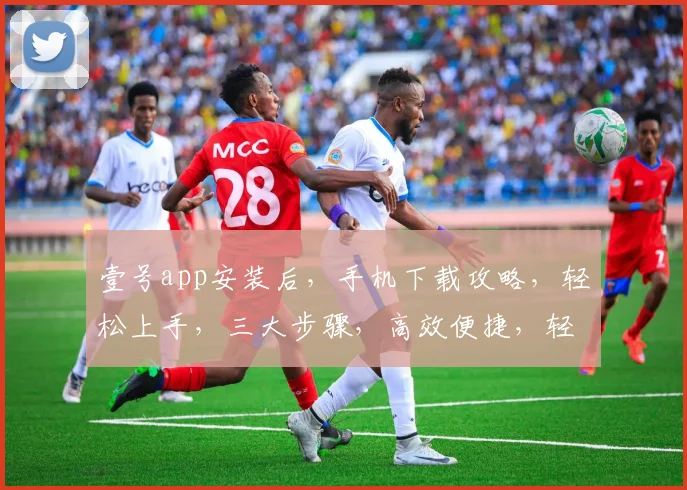 壹号app安装后，手机下载攻略，轻松上手，三大步骤，高效便捷，轻松享受