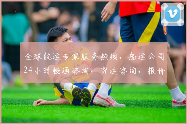 全球航运专家服务热线，船运公司24小时畅通咨询，货运咨询，报价必看，三步搞定