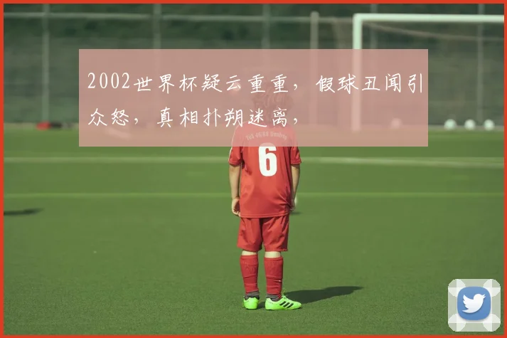 2002世界杯疑云重重，假球丑闻引众怒，真相扑朔迷离，
